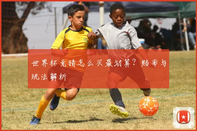 世界杯竞猜怎么买最划算？赔率与玩法解析