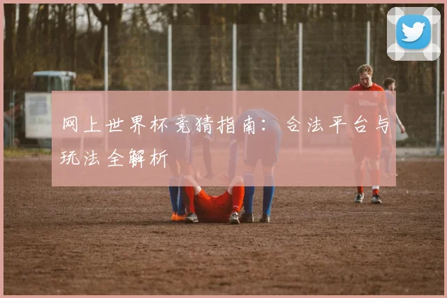 网上世界杯竞猜指南：合法平台与玩法全解析