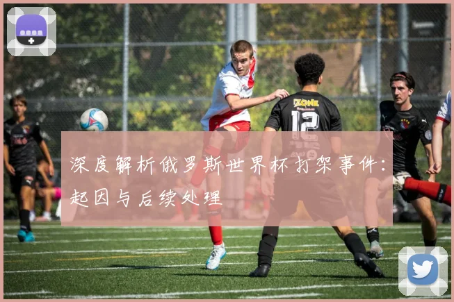 深度解析俄罗斯世界杯打架事件：起因与后续处理