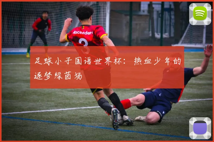 足球小子国语世界杯：热血少年的逐梦绿茵场