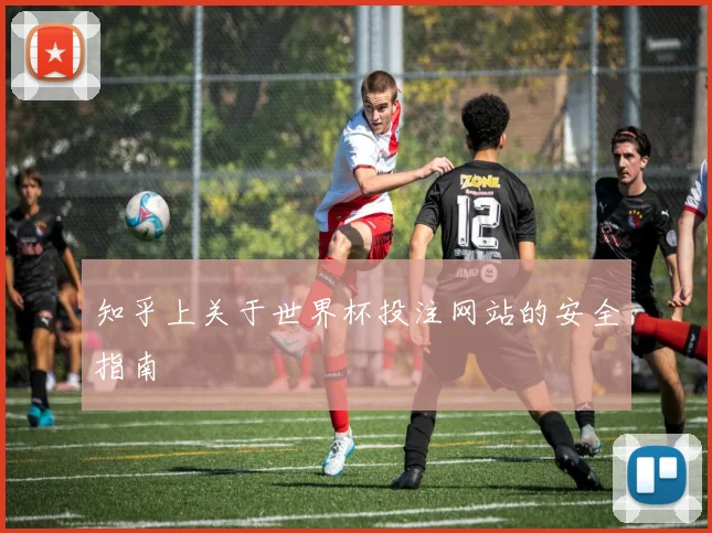 知乎上关于世界杯投注网站的安全指南