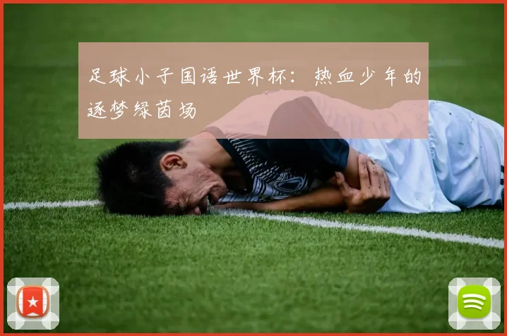 足球小子国语世界杯：热血少年的逐梦绿茵场