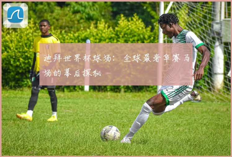 迪拜世界杯球场:全球最奢华赛马场的幕后探秘