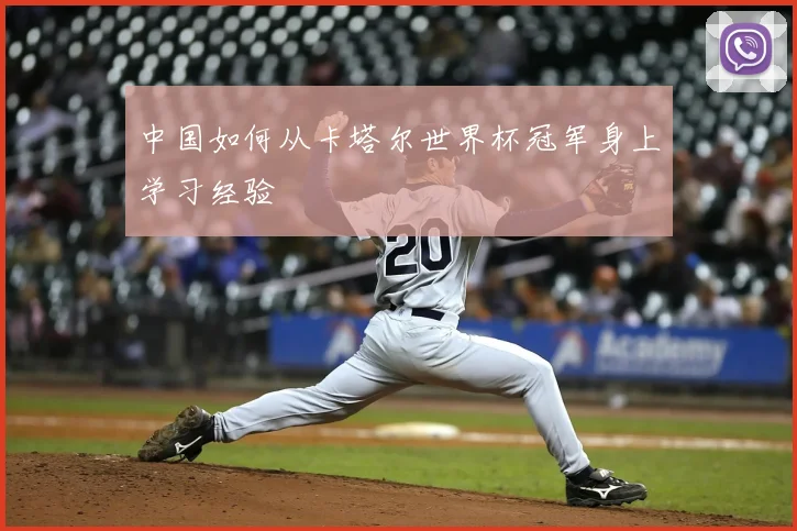 中国如何从卡塔尔世界杯冠军身上学习经验