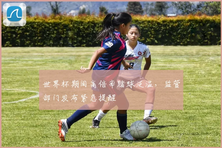 世界杯期间高倍率赌球泛滥，监管部门发布紧急提醒