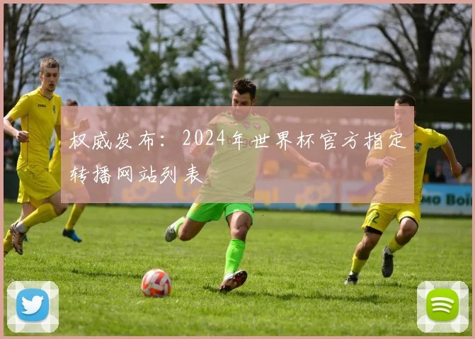 权威发布：2024年世界杯官方指定转播网站列表