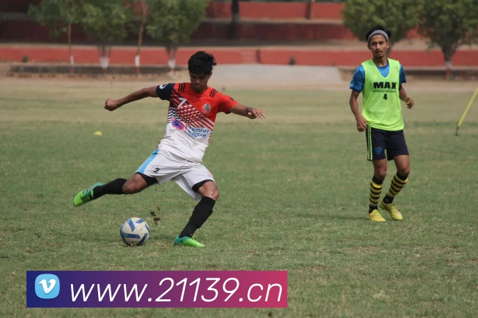 mk体育娱乐官网平台生态图